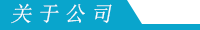 关于公司条